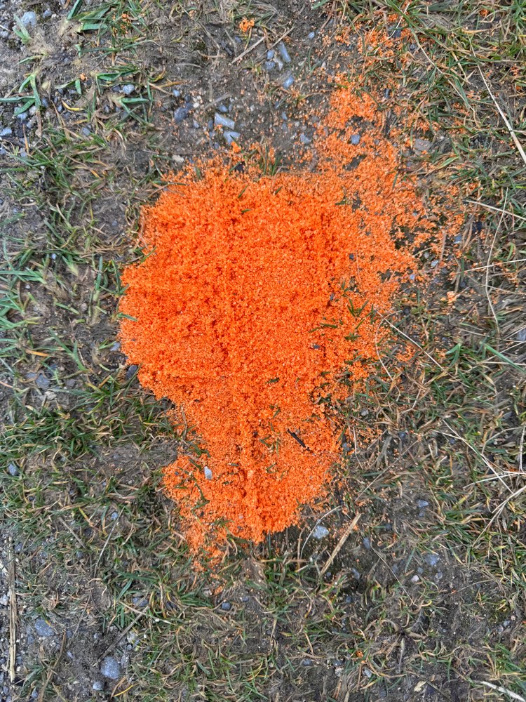 Giftköder-Giftköder?-Profilbild