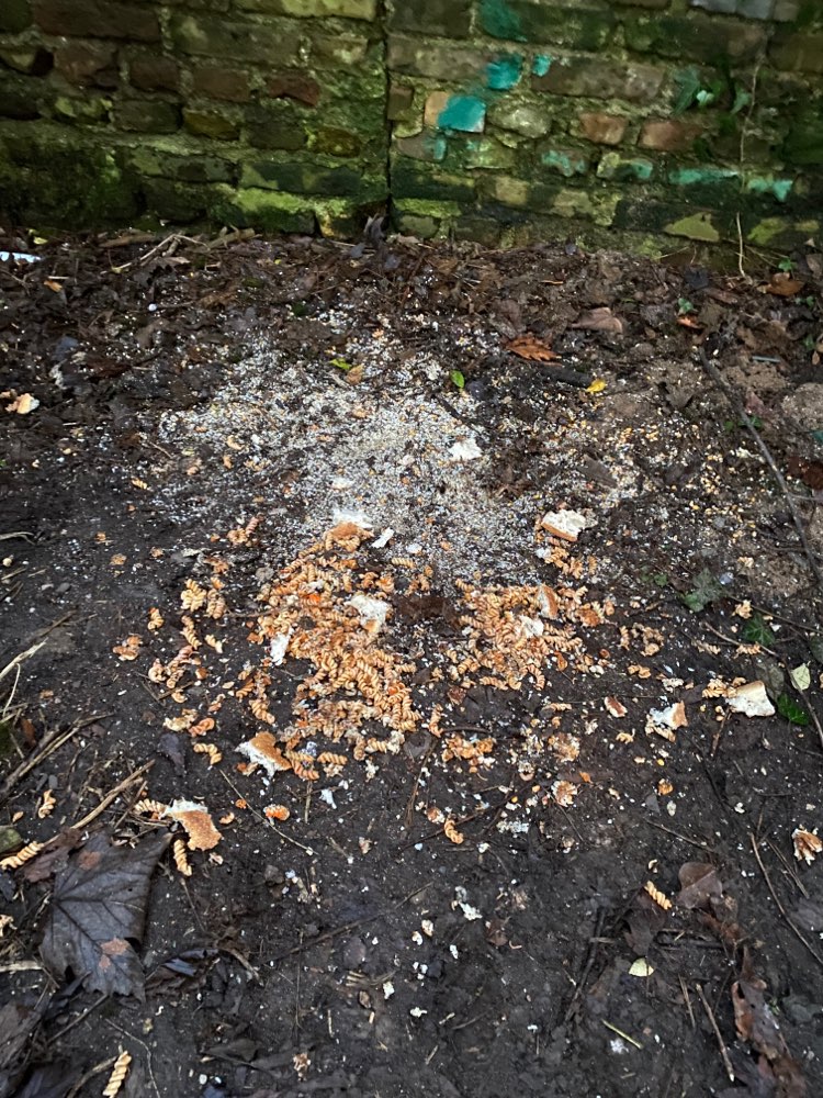 Giftköder-Unbekanntes Essen ausgelegt-Profilbild