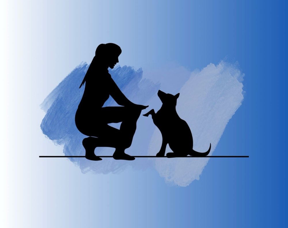 Hundetreffen-Liebevolle Hundebetreuung-Profilbild