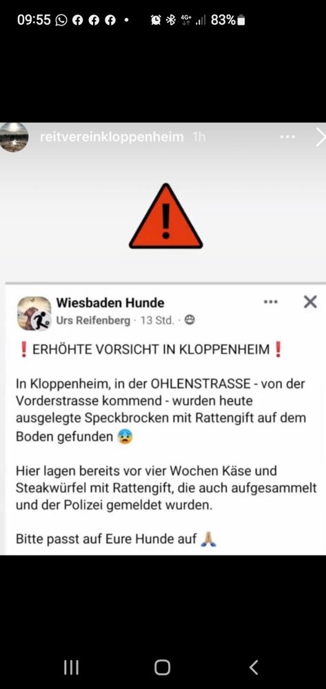 Giftköder-Giftköder-Profilbild