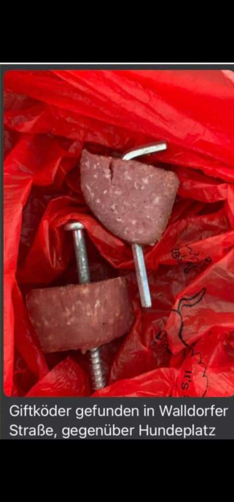 Giftköder-Wurst mit Schrauben/Metall-Profilbild