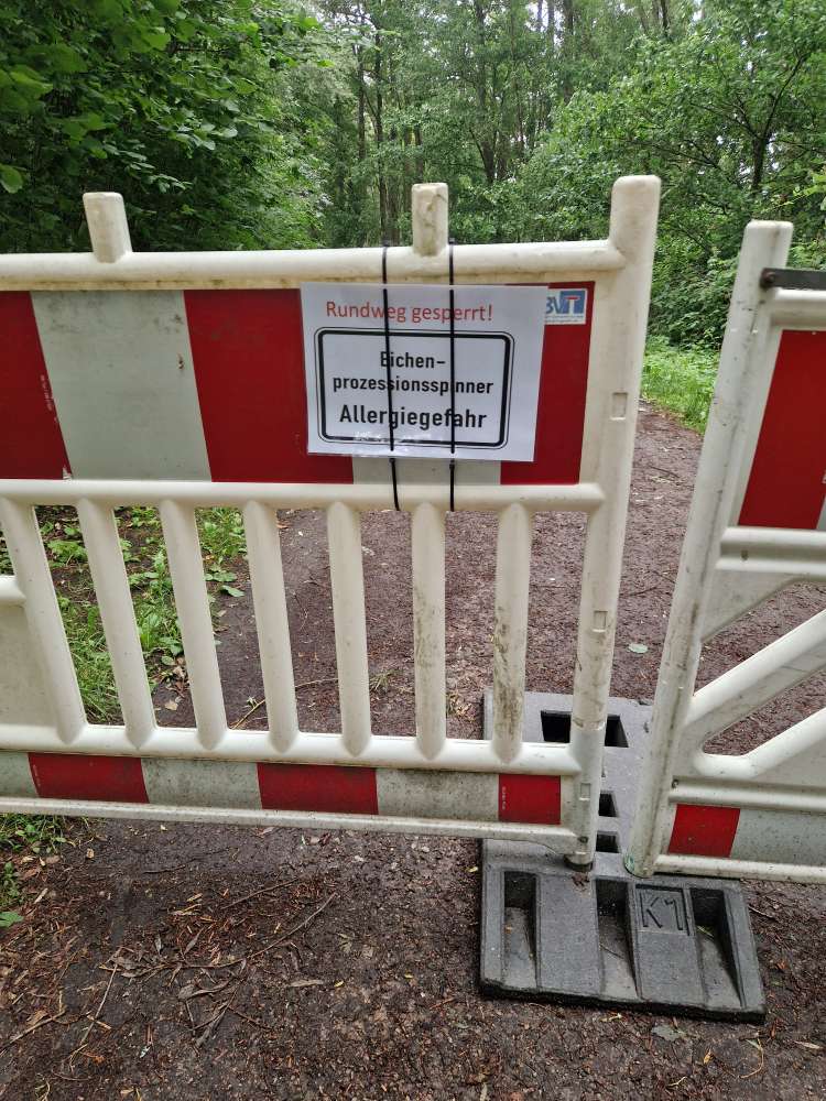 Giftköder-Eichenprozessionsspinner-Profilbild