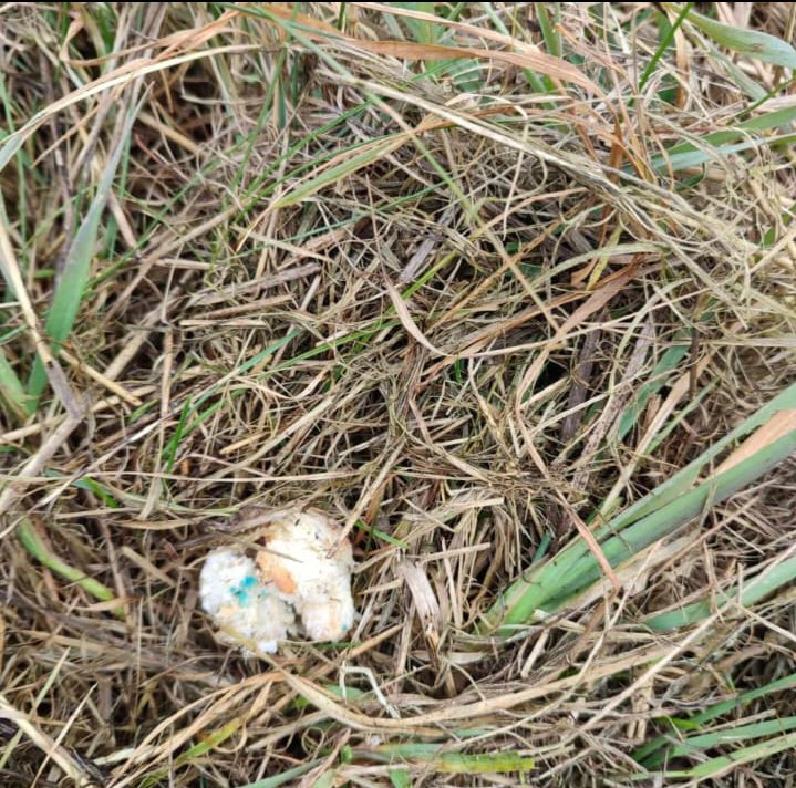 Giftköder-Giftköder!-Profilbild