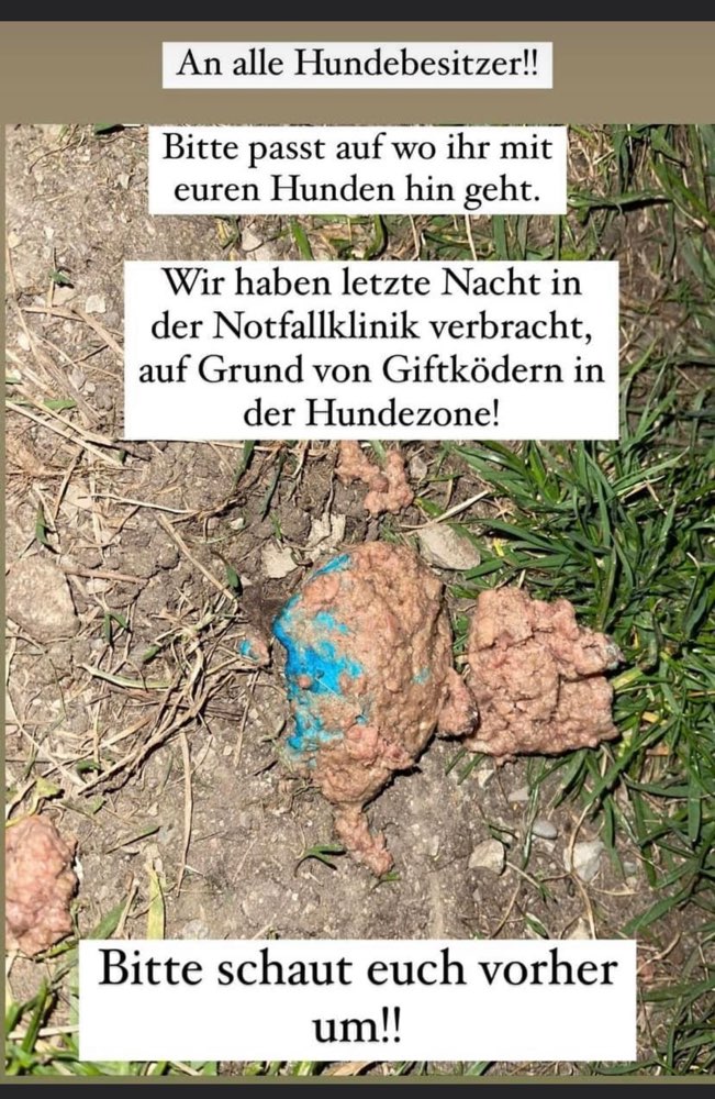 Giftköder-Giftköder-Profilbild