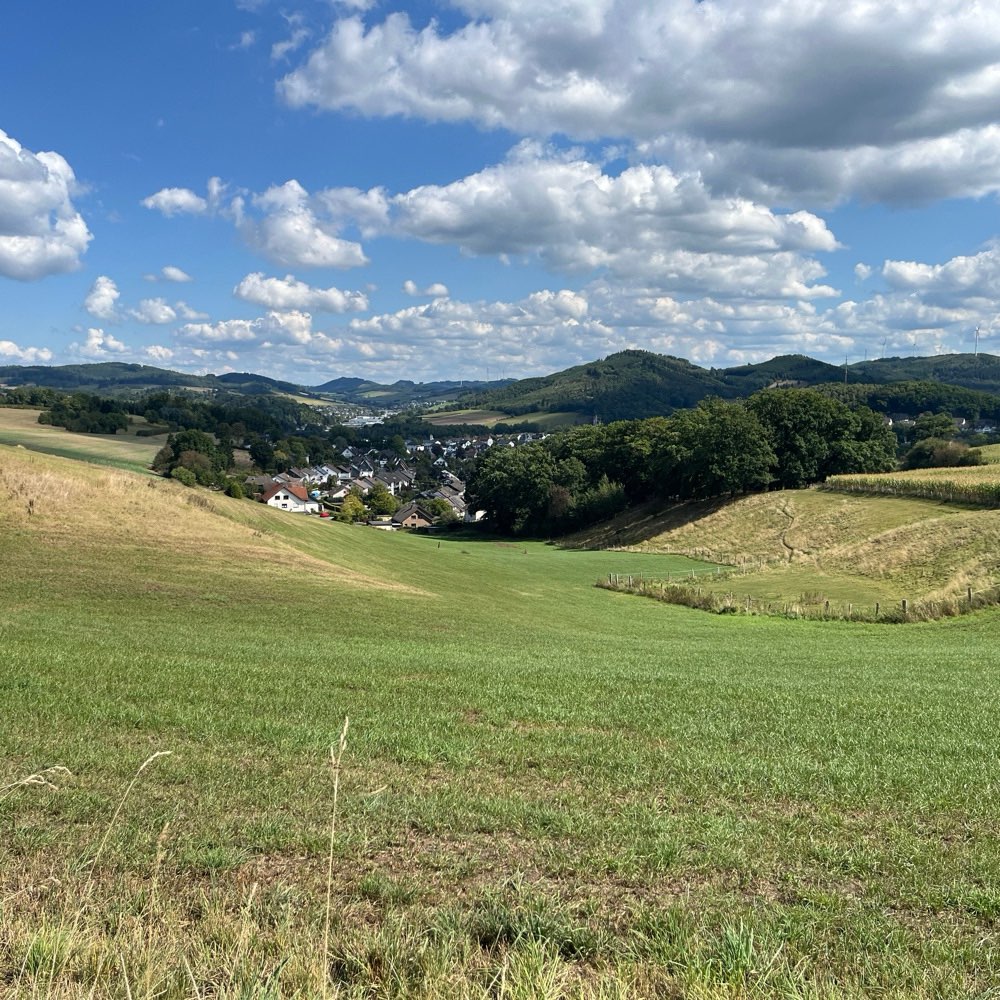 Hundetreffen-Treffen zum spazieren, Spiele und quatschen also für Mensch und Hund.-Profilbild