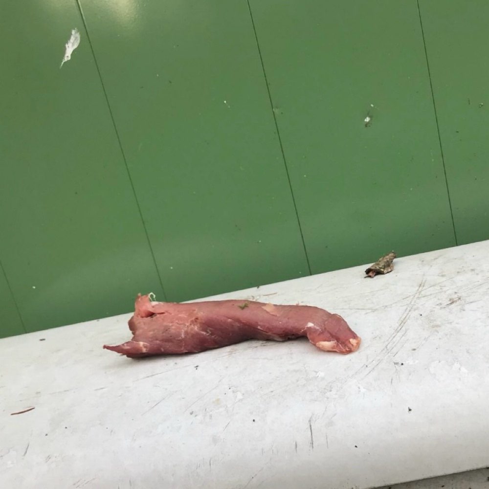 Giftköder-Fleischstücke-Profilbild