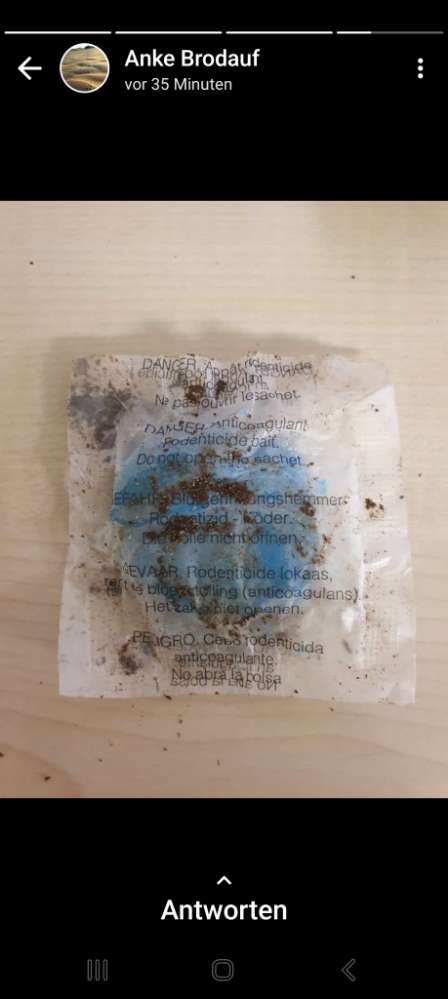 Giftköder-Rattengiftköder-Profilbild