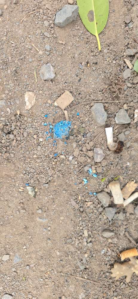 Giftköder-Blaue Substanz - Giftköder-Profilbild