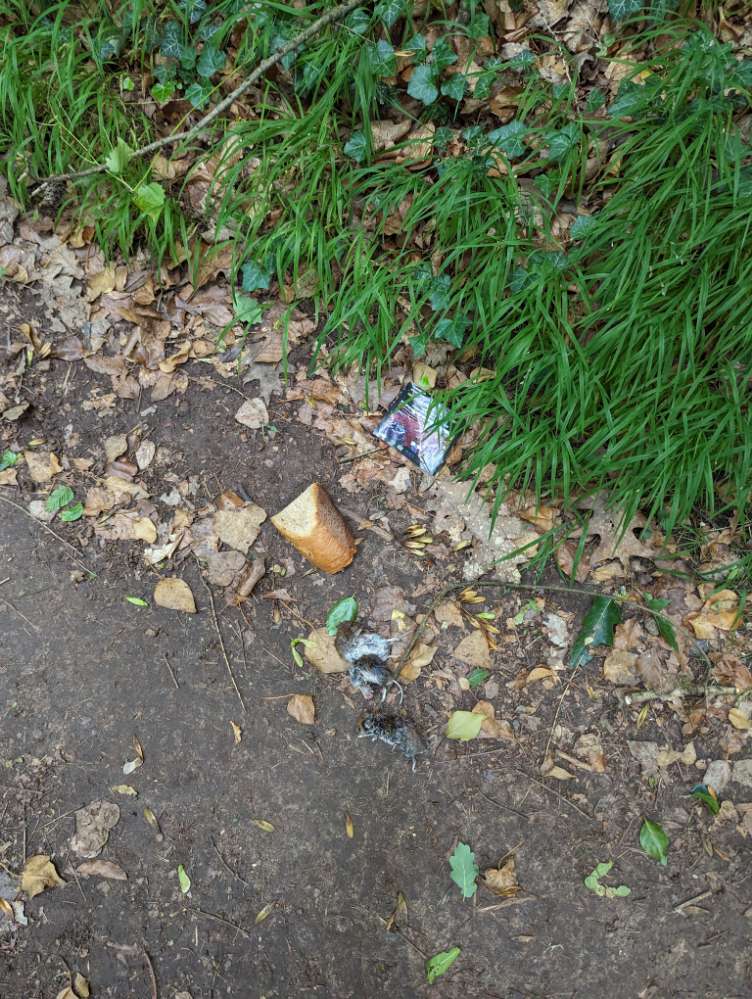 Giftköder-Giftköder Brot-Profilbild