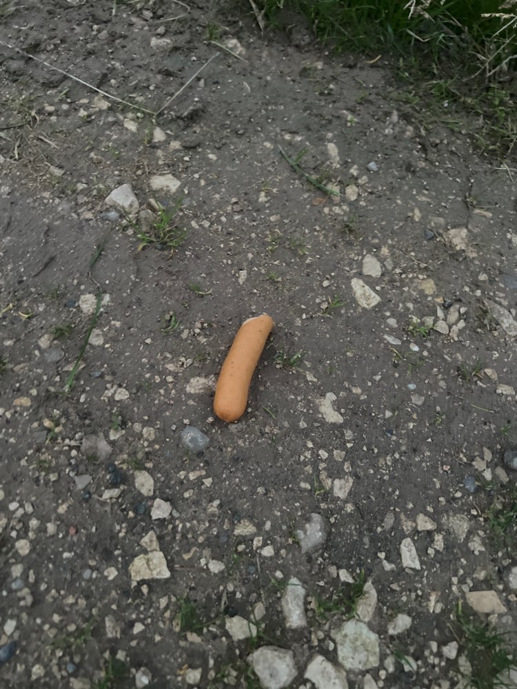 Giftköder-Wurststückchen-Profilbild