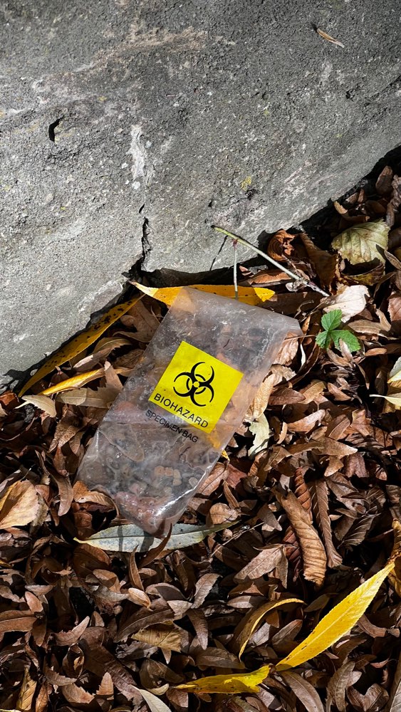 Giftköder-Fischkopf in Plastiktüte-Profilbild