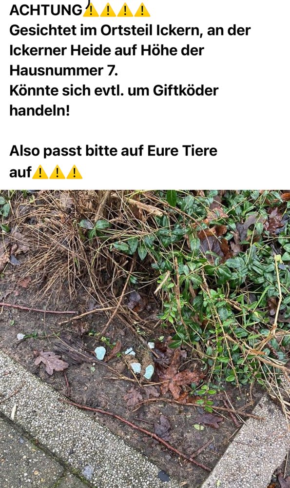 Giftköder-Rattengift-Profilbild