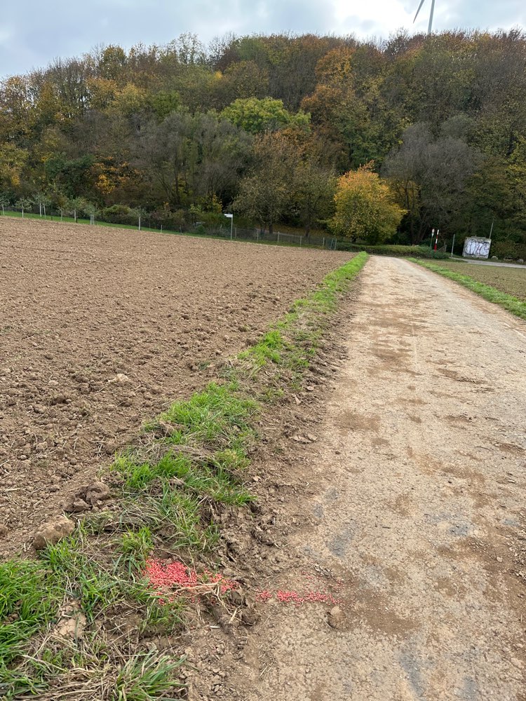 Giftköder-Rattengift am grünen  Heiner-Profilbild