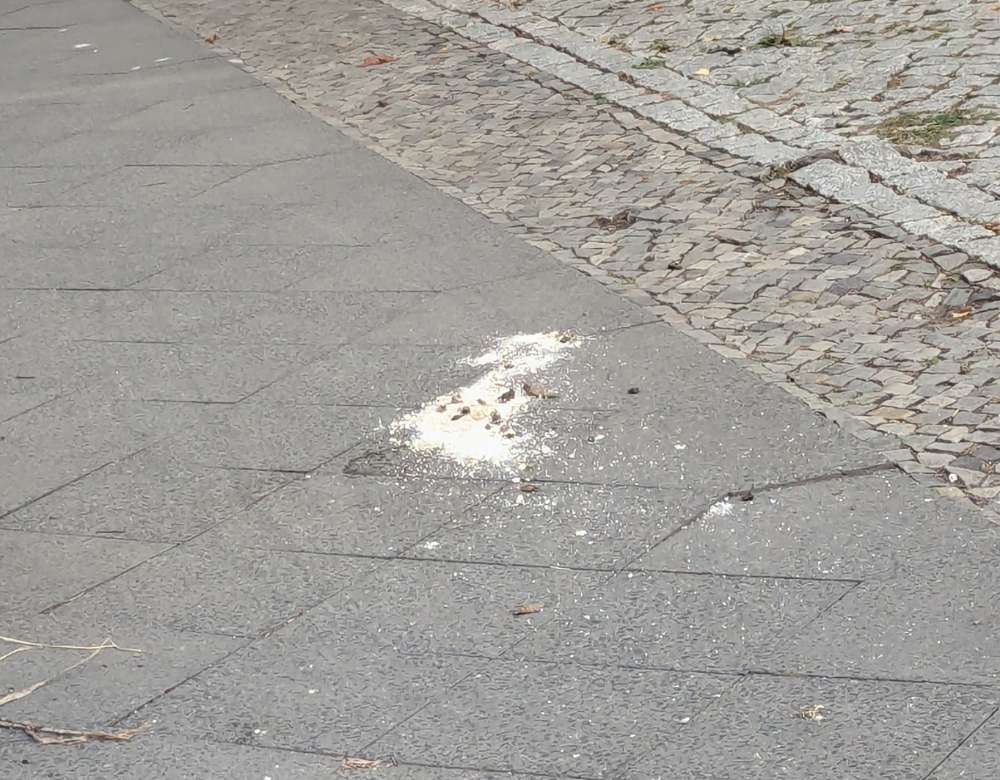 Giftköder-Helles Pulver-Profilbild