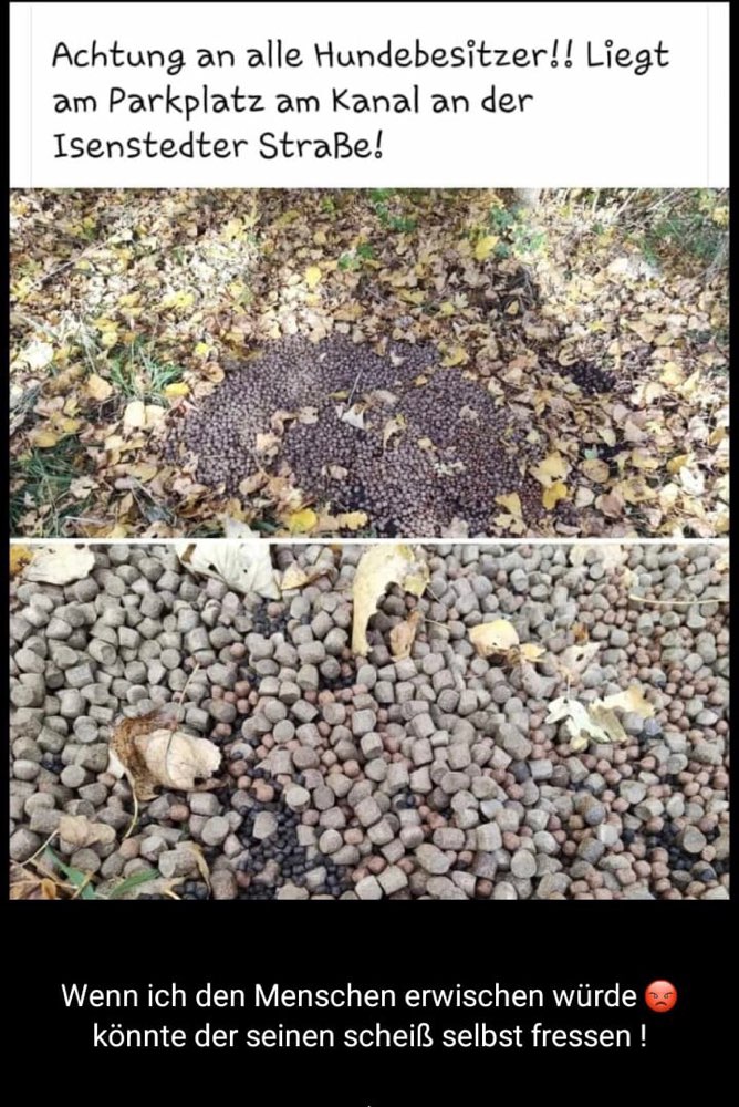 Giftköder-Giftköder-Profilbild