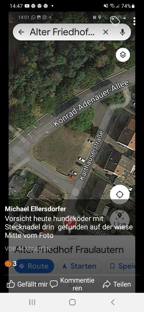 Giftköder-Hundeköder mit Stecknadel-Profilbild