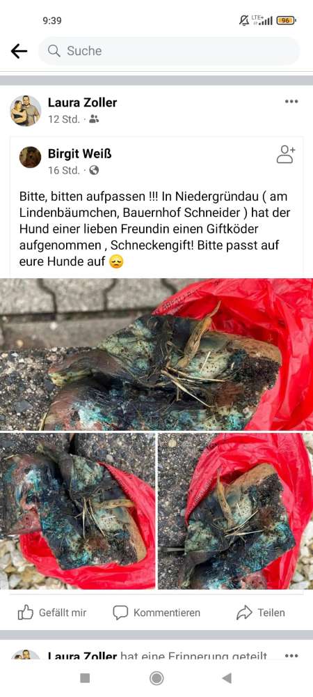 Giftköder-Giftköder-Profilbild