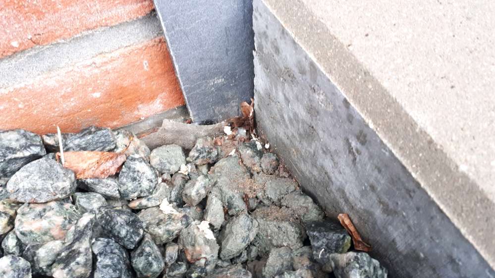 Giftköder-Verstecktes Fleisch Bei den Zelten-Profilbild