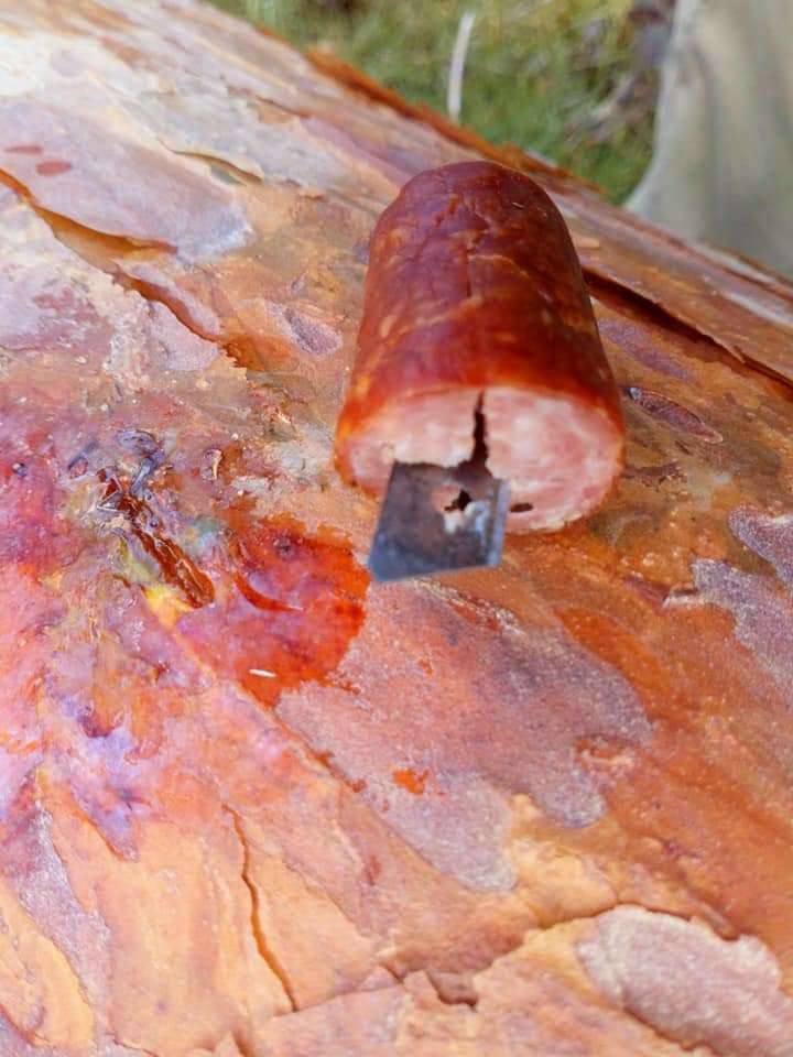 Giftköder-Salami mit Klingen gespickt-Profilbild