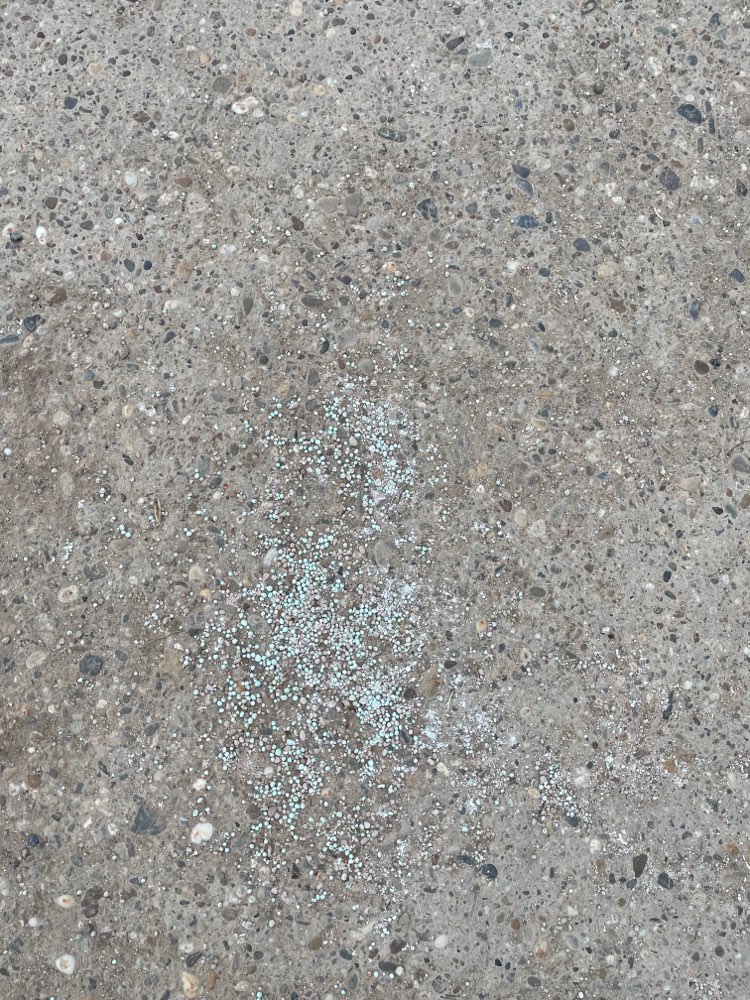 Giftköder-Schneckenkorn-Profilbild