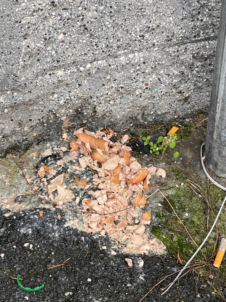 Giftköder-Verdächtige Essensreste-Profilbild