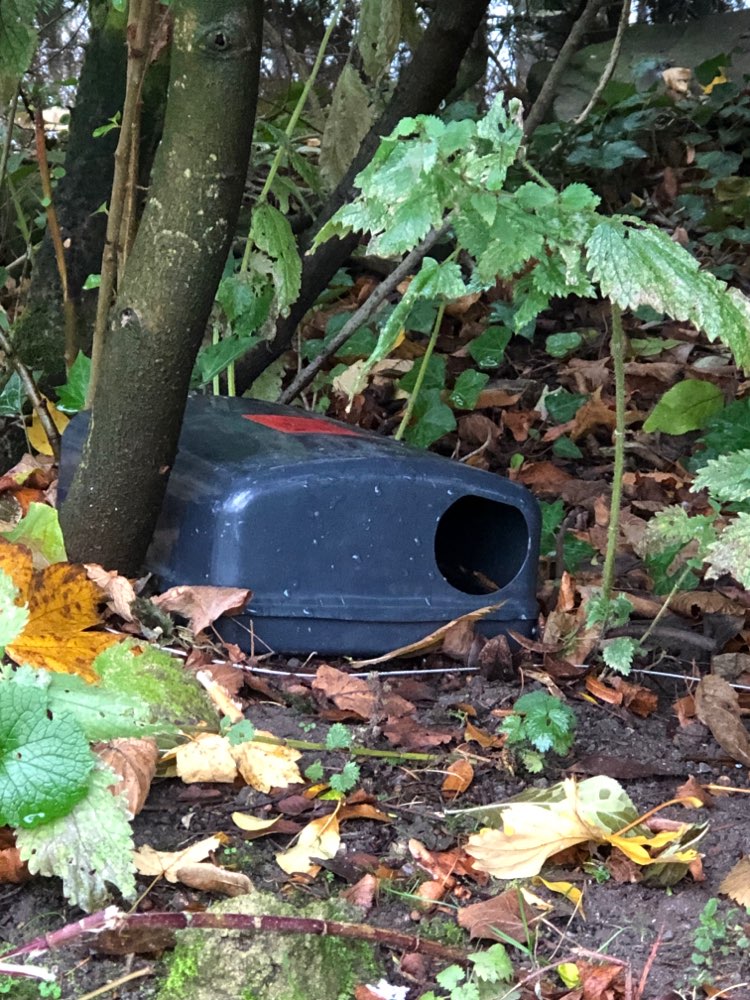 Giftköder-Rattengift Boxen an den Teichen der Prom-Profilbild