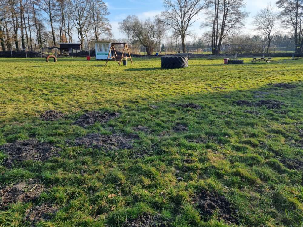 Hundetreffen-Freilauffläche-Profilbild