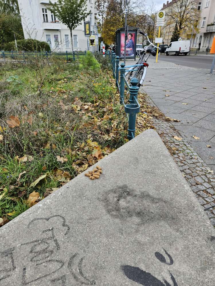 Giftköder-Möglicher Giftköder-Profilbild