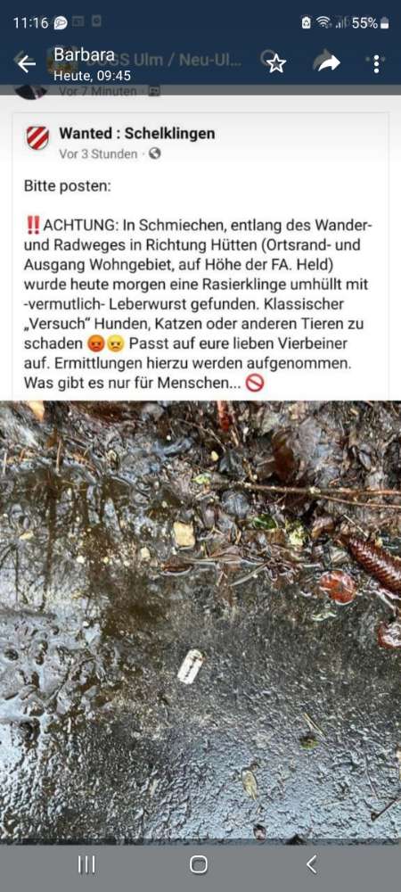 Giftköder-Rasierklingen-Profilbild
