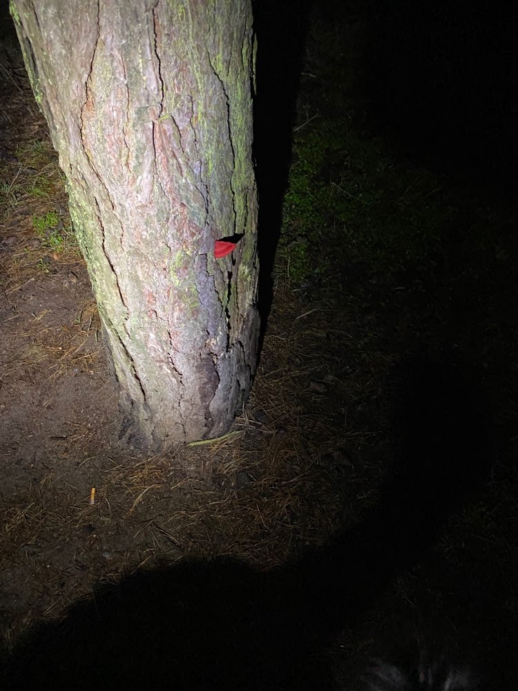 Giftköder-Giftköderköderverdacht!-Profilbild