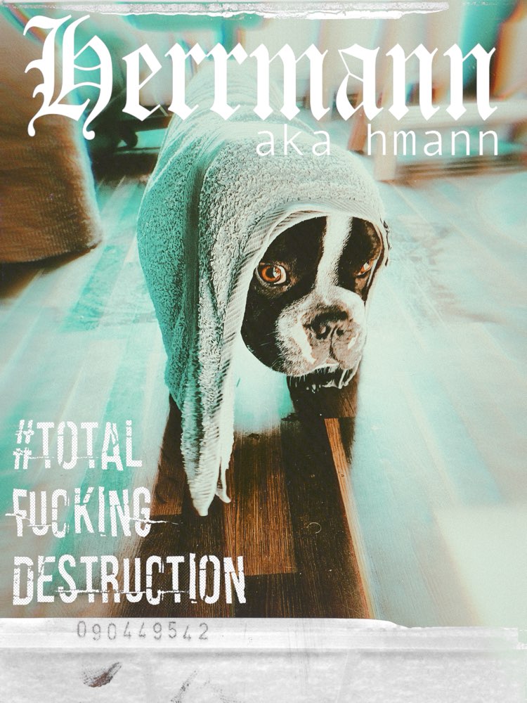 Hundetreffen-Bulldoggen zum spielen gesucht-Profilbild