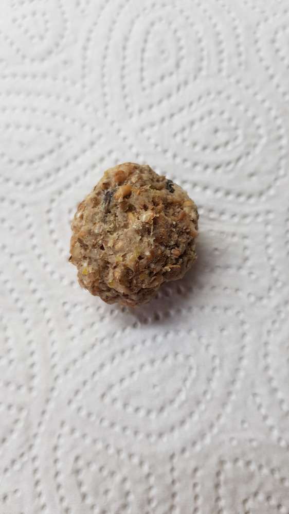 Giftköder-Verdacht auf Giftköder-Profilbild