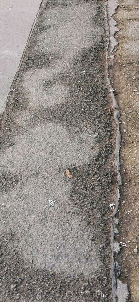 Giftköder-Spitze Gegenstände-Profilbild