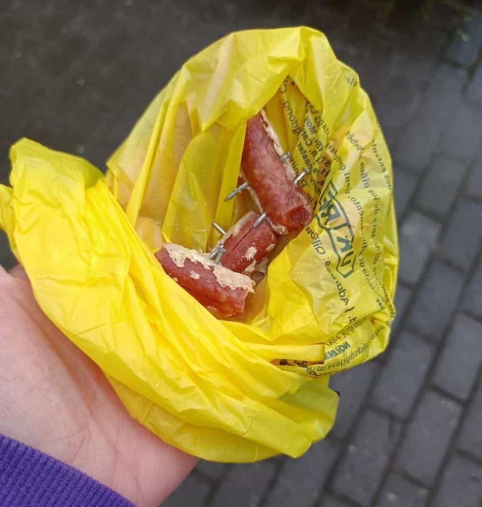 Giftköder-Giftköder-Profilbild