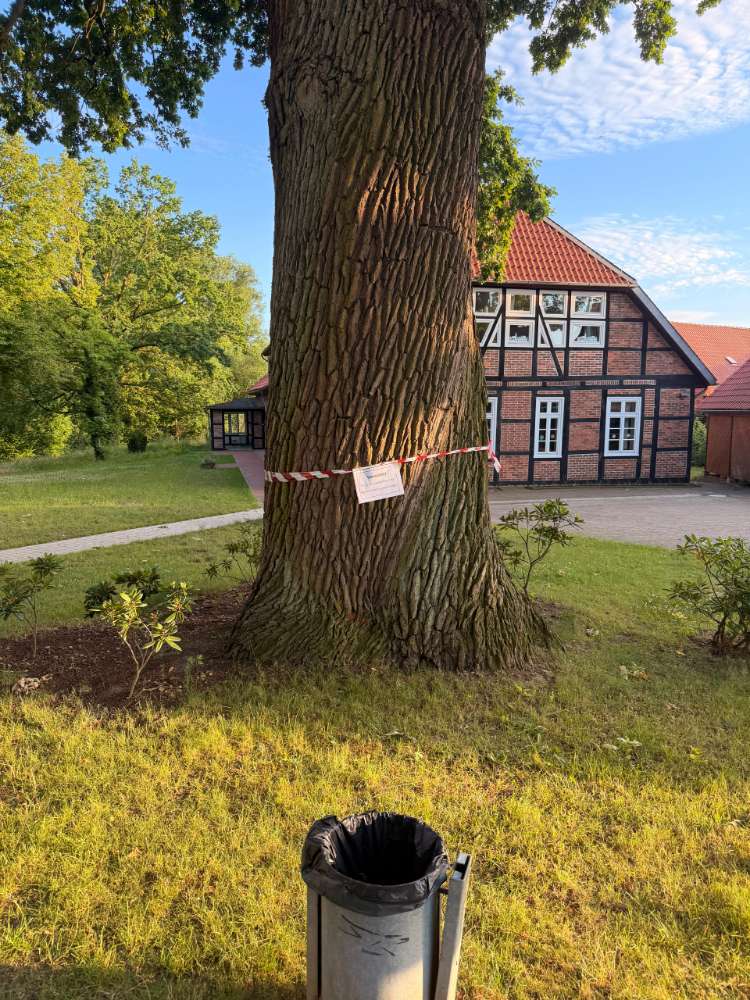 Giftköder-Eichenprozessionsspinner-Profilbild