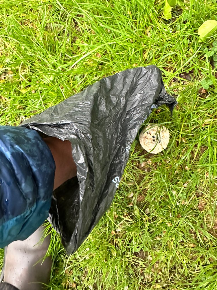 Giftköder-Giftköder-Profilbild