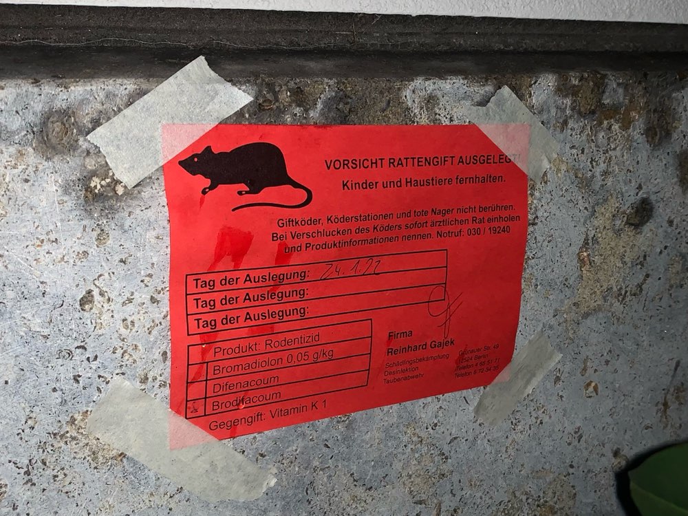 Giftköder-Rattengift am Hauseingang-Profilbild
