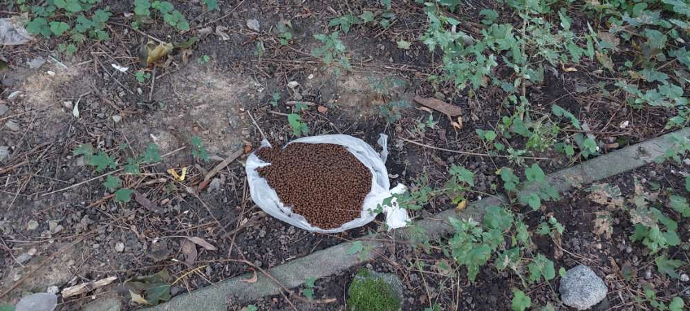 Giftköder-Vorsicht Massen an Trockenfutter-Profilbild