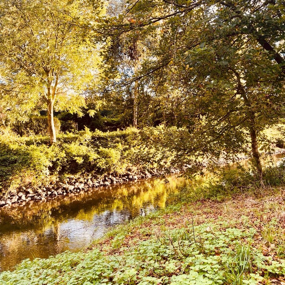 Hundetreffen-Spaziergang an der Wurm-Profilbild