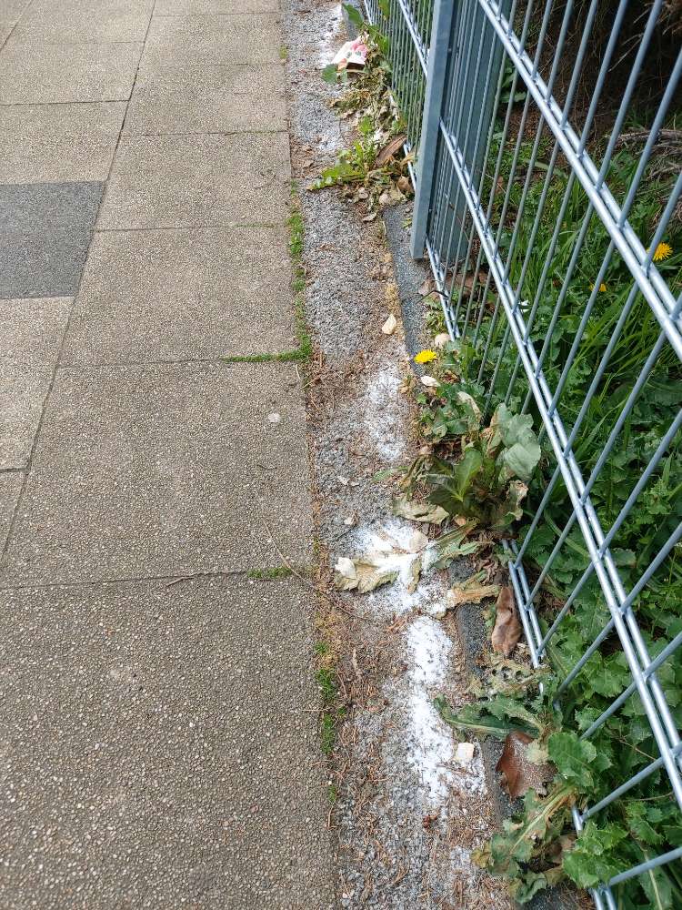 Giftköder-Möglichers Gift!-Profilbild