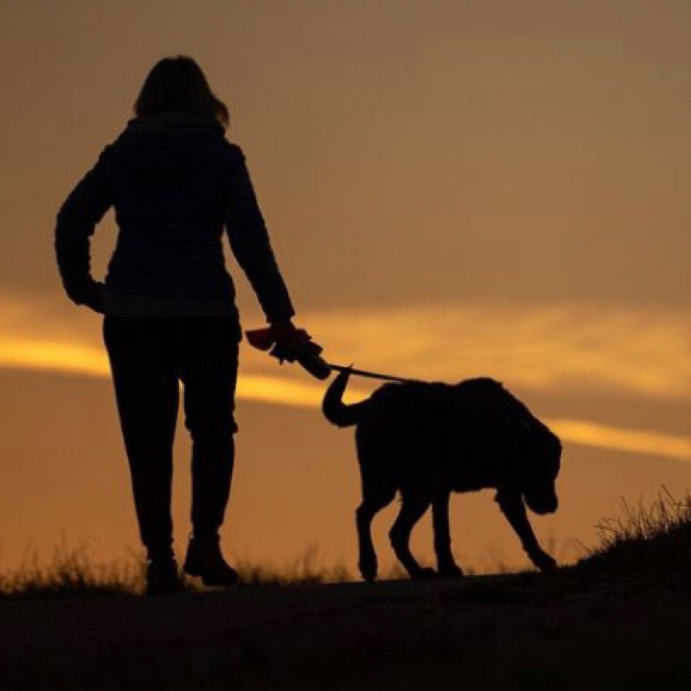 Hundetreffen-Gassi gehen-Profilbild
