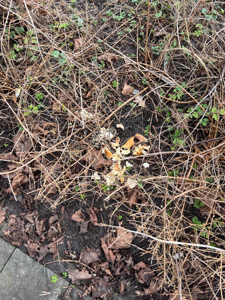Giftköder-Essensreste im Gebüsch-Profilbild