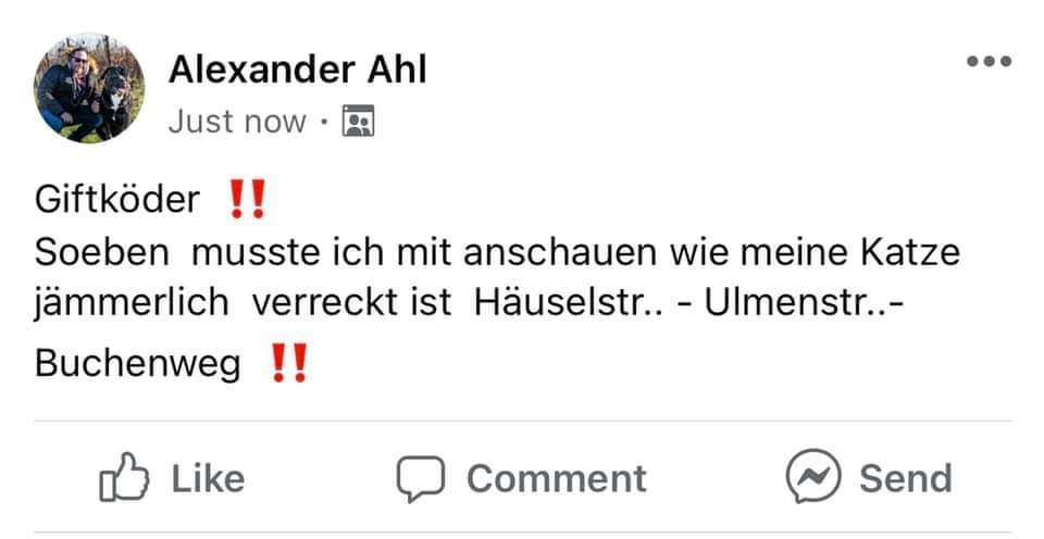 Giftköder-Katze vergiftet-Profilbild