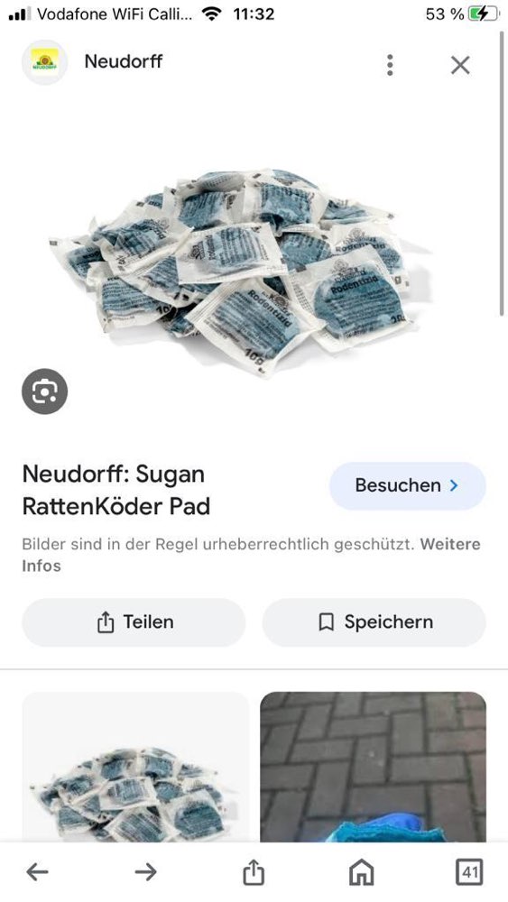 Giftköder-Rattengift ausgelegt-Profilbild