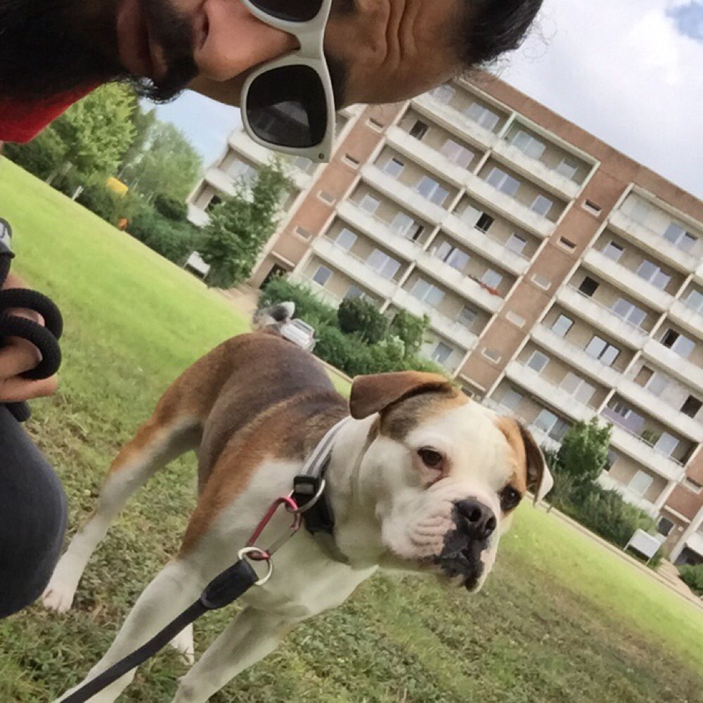 Hundetreffen-Hallo an alle Tierfreunde.  Deckrüde Goku 4,5 Jahre alt,freundlich und lieb.  Ich bin ein sehr veran-Profilbild