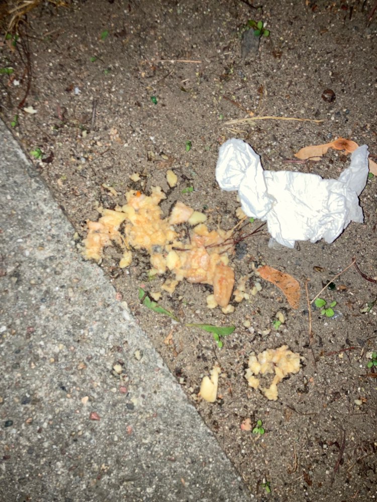 Giftköder-Vielleicht Giftköder-Profilbild