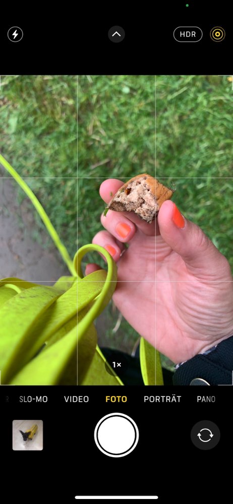 Giftköder-Köder mit Inhalt (Wiener gespickt)-Profilbild