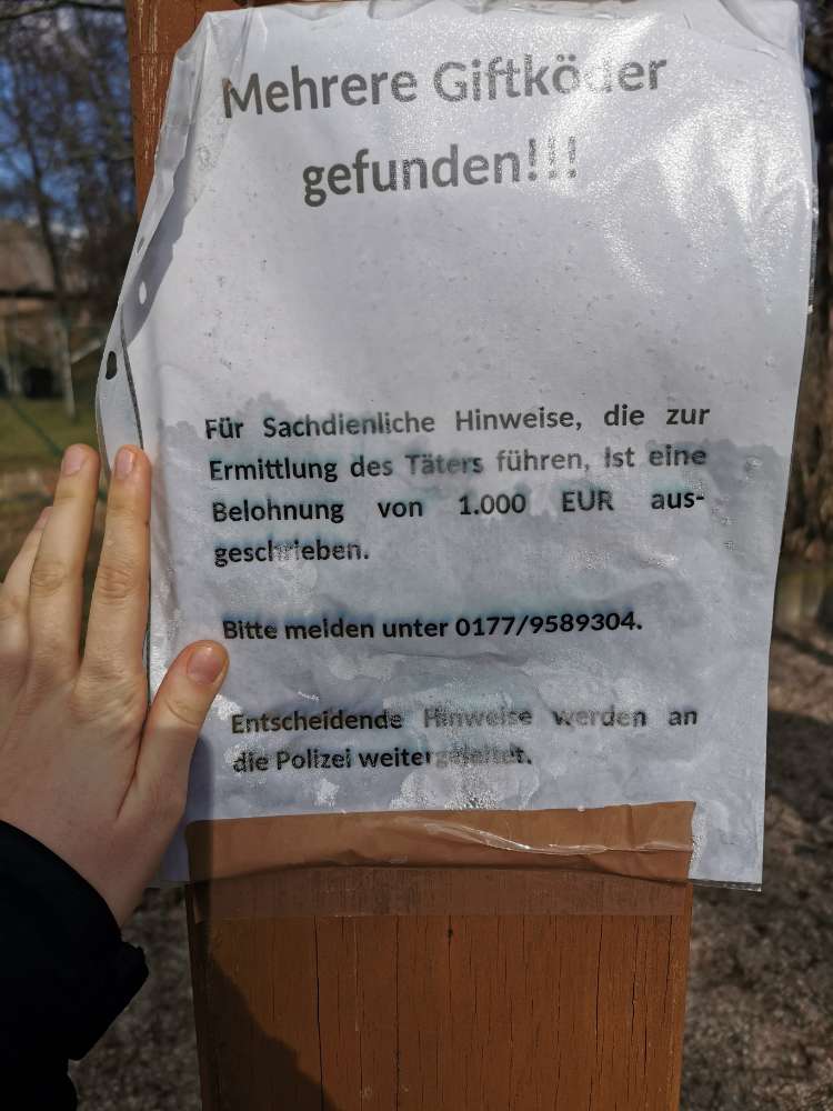 Giftköder-Warung Giftköder-Profilbild