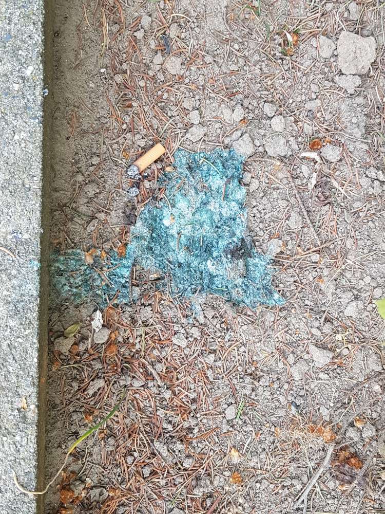 Giftköder-Erbrochenes Rattengift-Profilbild