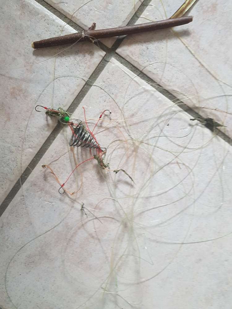 Giftköder-Angelschnur mit Haken-Profilbild